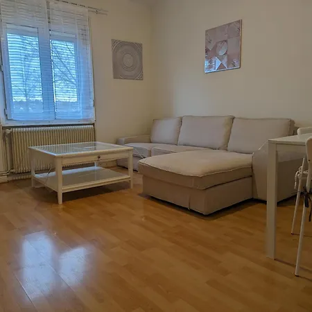 Le Balois - Appartement 2 Chambres, Salon, Cuisine Equipee, Parking Et Wifi Gratuit Mulhouse Extérieur photo